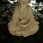 Hotel Monk