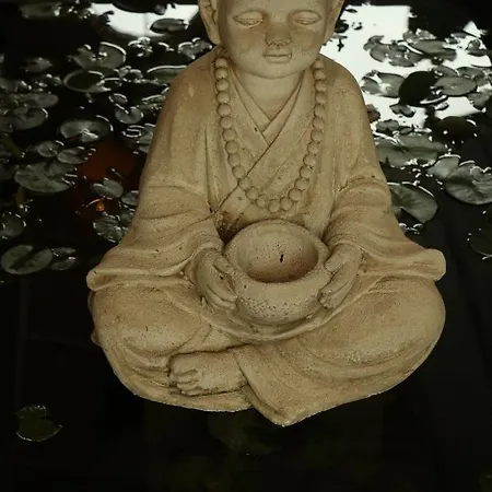 Hotel Monk